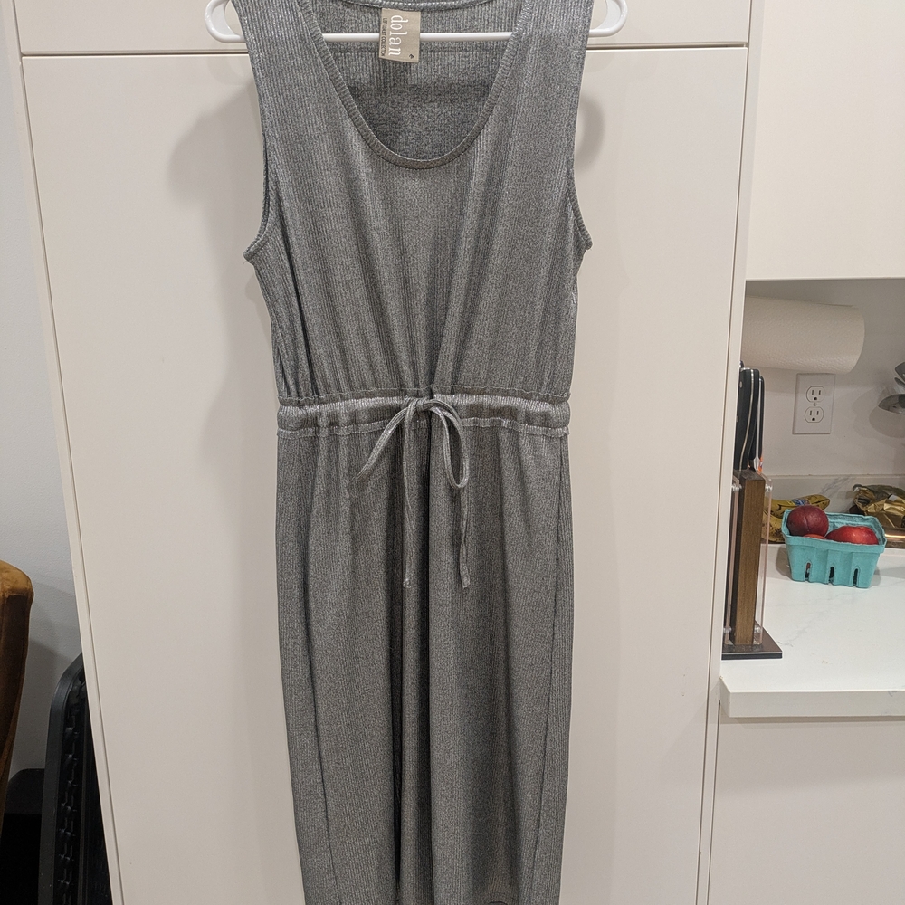 Anthropologie Brand Dolan Metallic Silver Dress